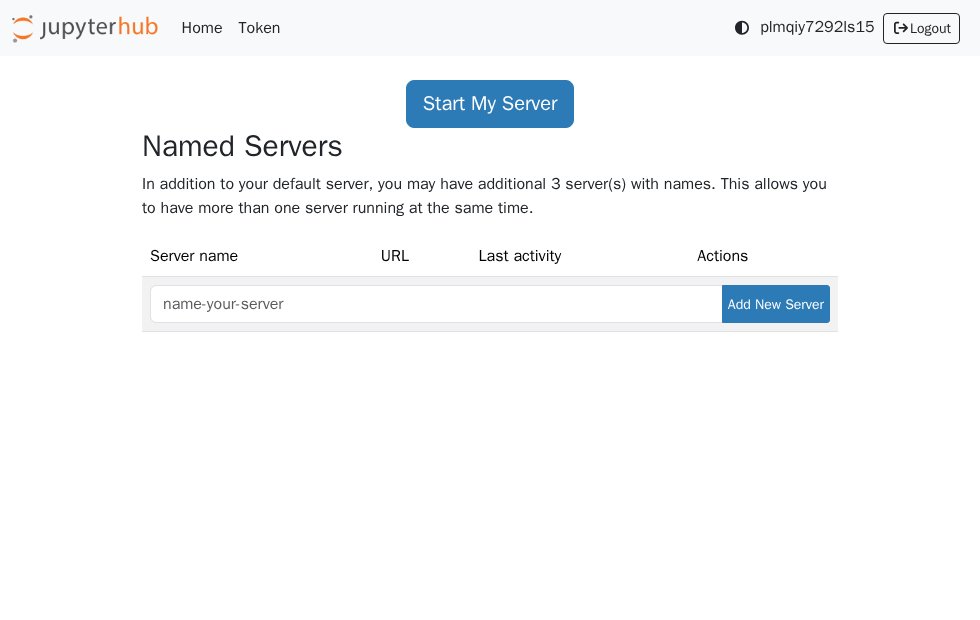 JupyterHub web UI screenshot from the Latium visual test run
