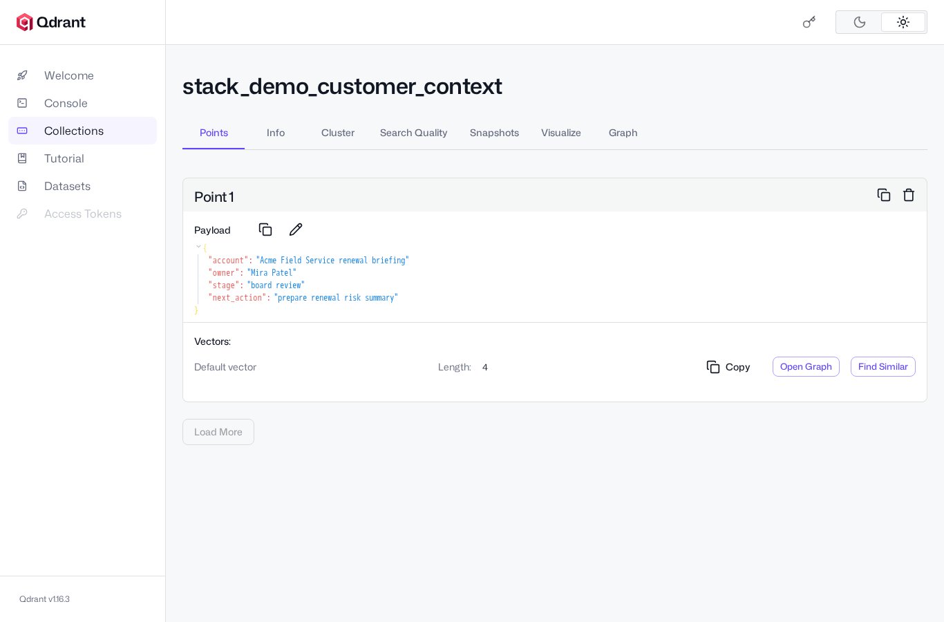 Qdrant web UI screenshot from the Latium visual test run